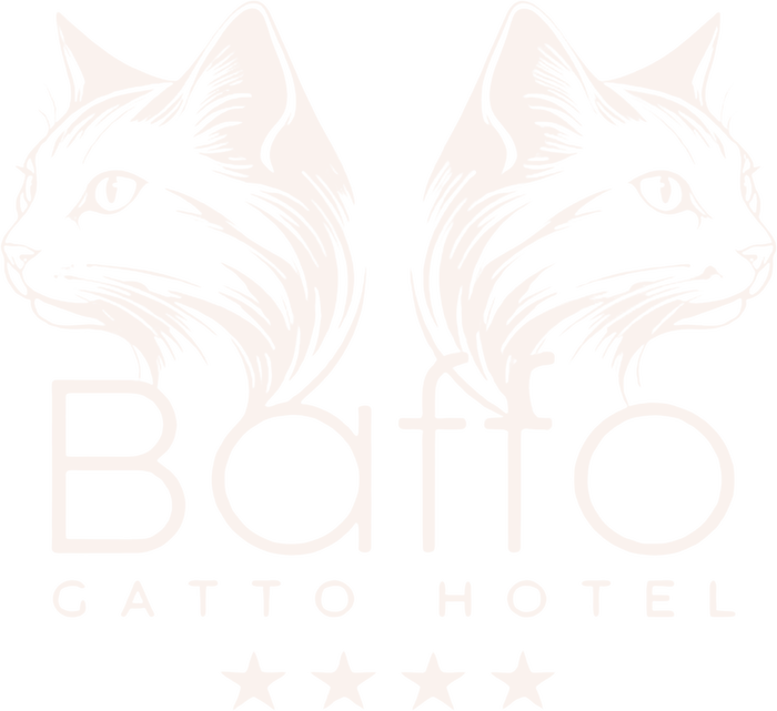 Baffo Gatto Hotel